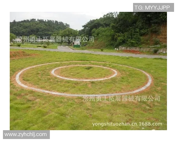 上海极限运动队防反策略分析与战术得失评估 上海极限运动队防反策略分析与战术得失评估